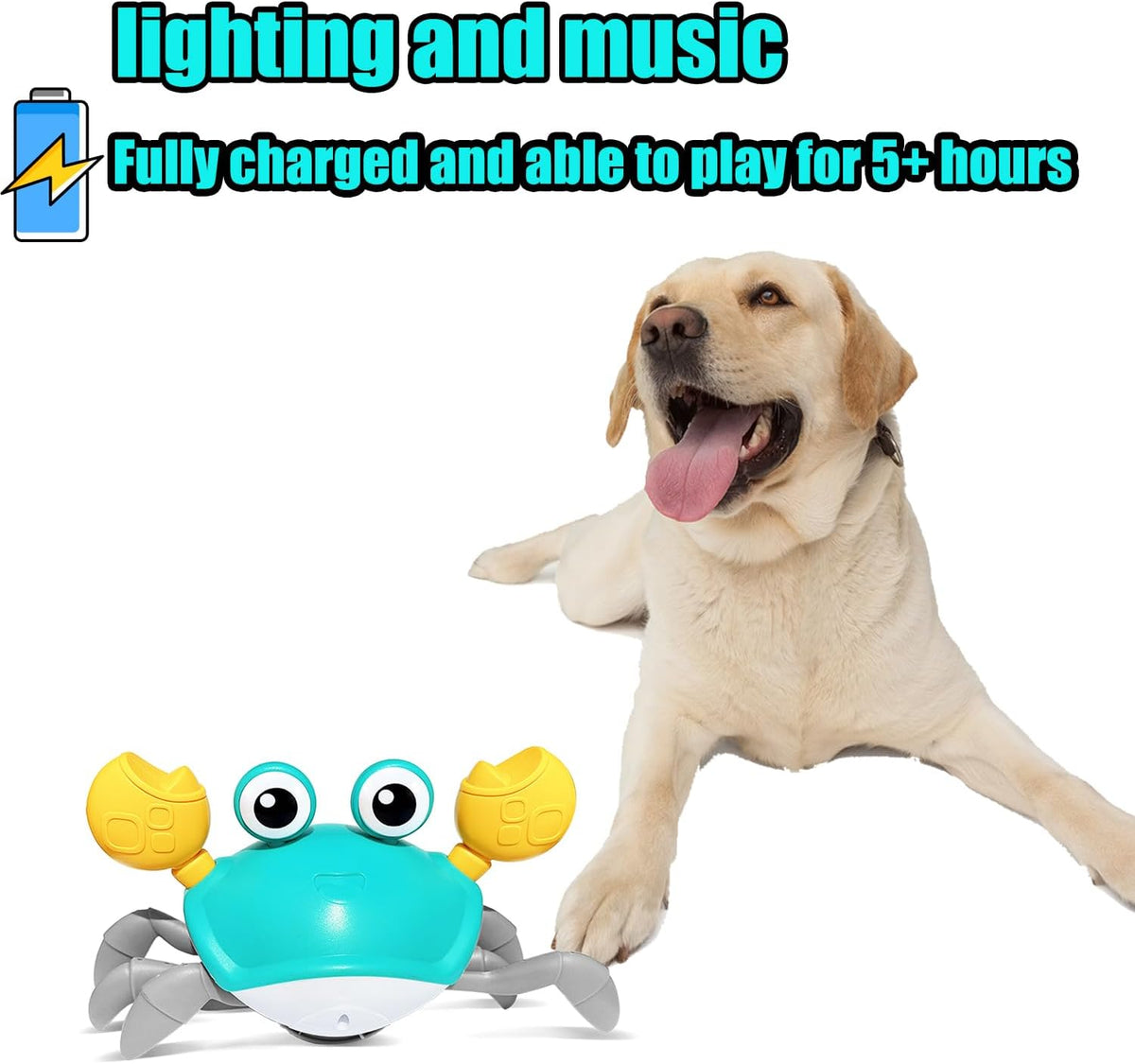 Brinquedo Caranguejo com Sensor de Obstáculos e Música para Cães