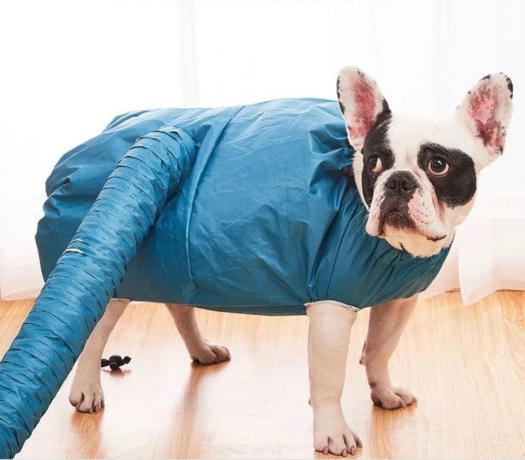 Saco de Secagem Automático com Secador de Cabelo para Banho de Pets