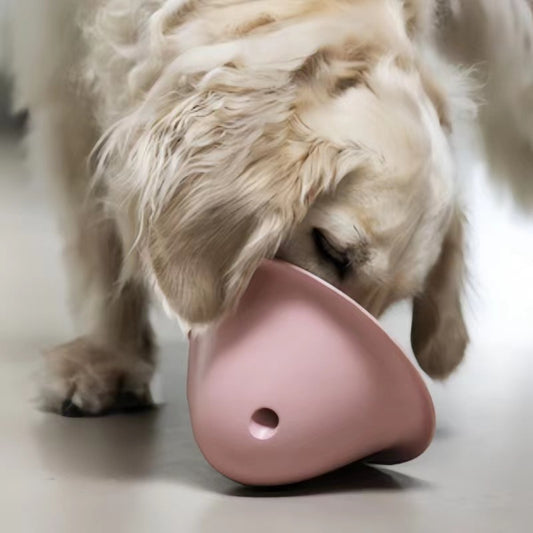 Brinquedo Interativo para Roer com Esconderijo de Petiscos para Cães