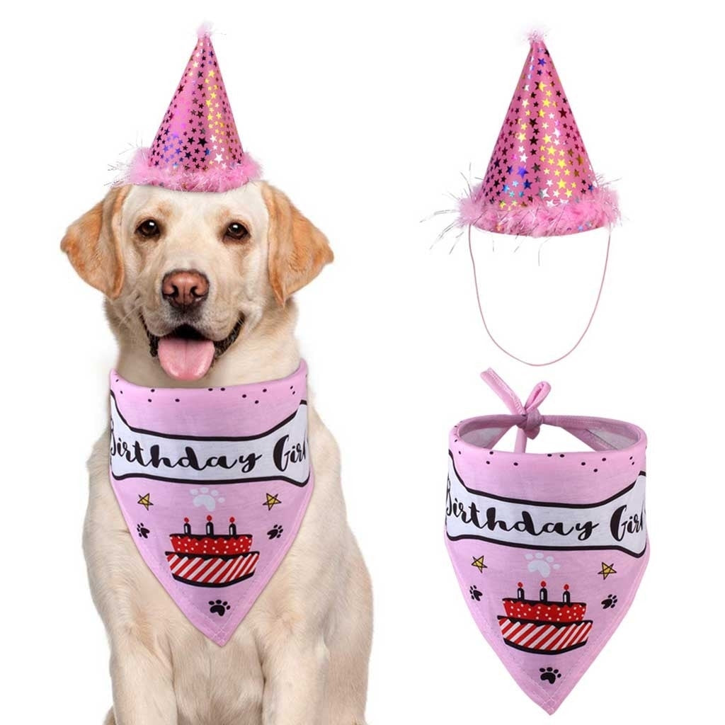 Kit Babador e Chapéu de Aniversário para Pets