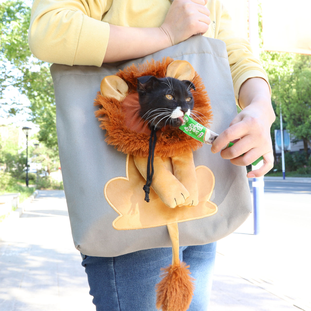 Bolsa de Transporte Macia em Formato de Leão para Gatos e Cães, com Zíperes de Segurança