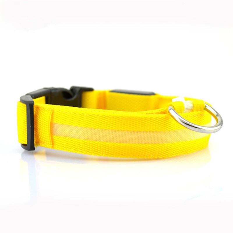 Coleira LED de Segurança para Pets