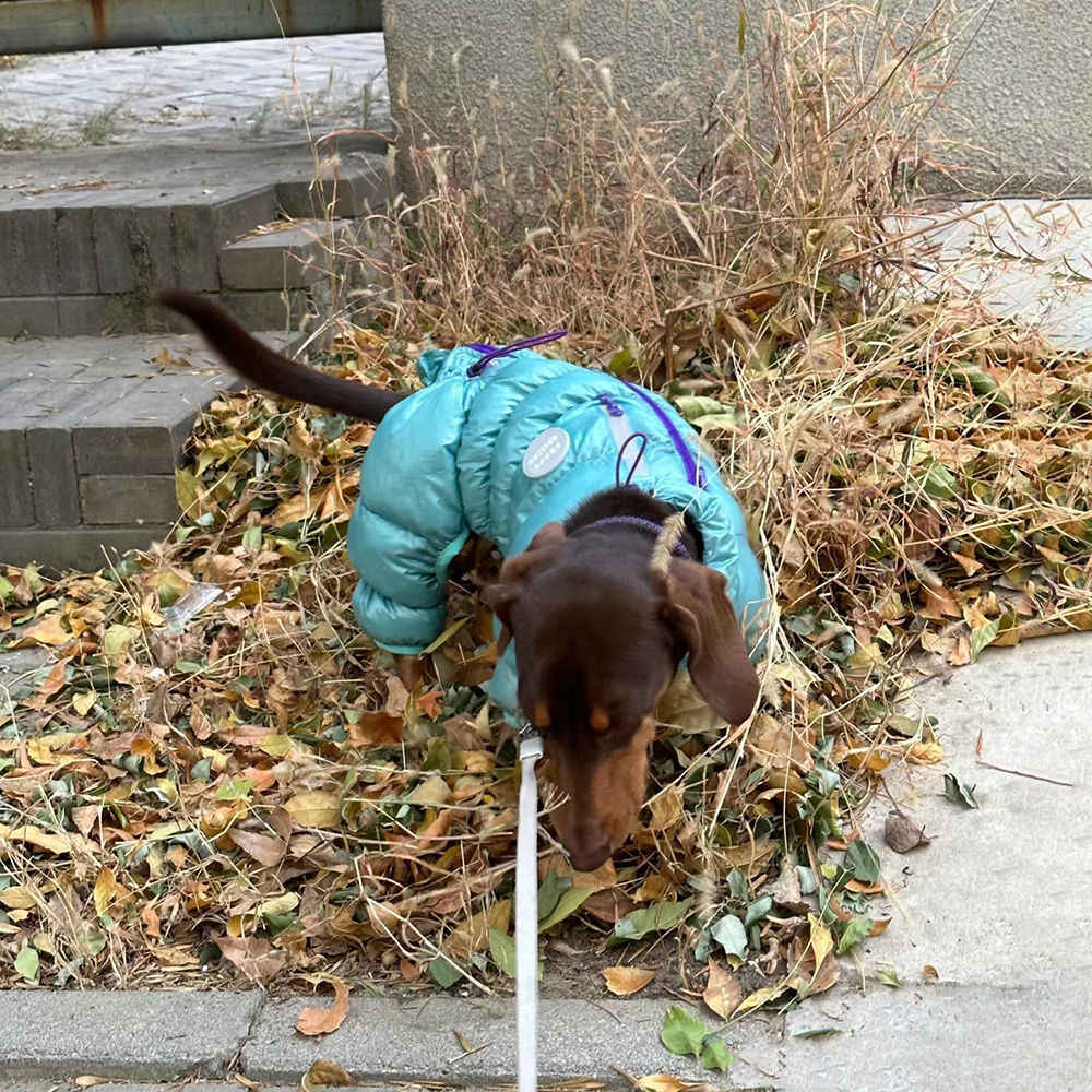 Roupa Térmica Acolchoada para Pets - Outono e Inverno