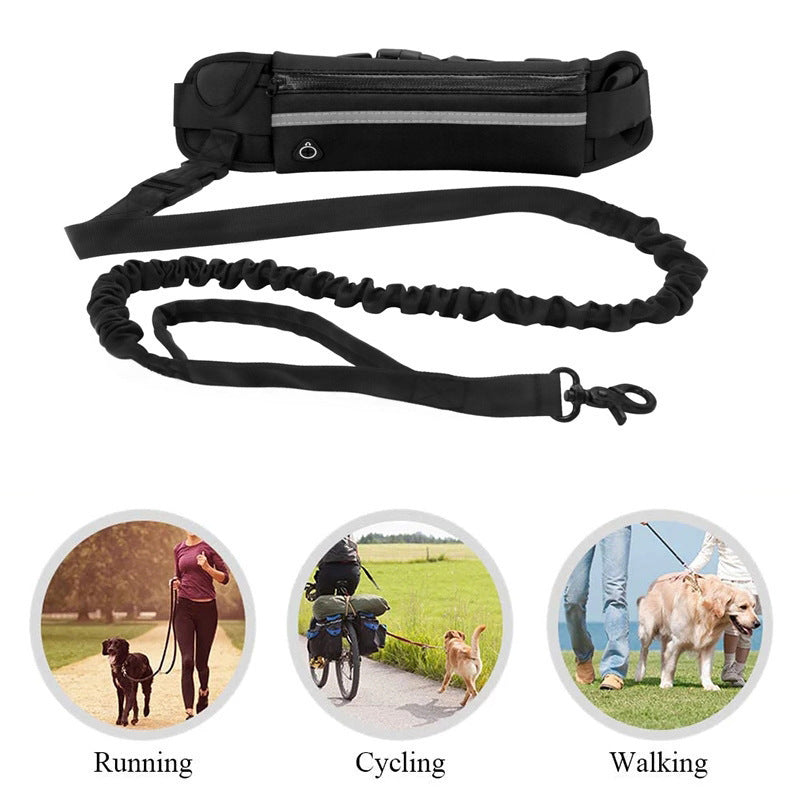 Guia de Treino Leve para Pets com Vários Bolsos