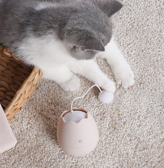 Brinquedo Divertido para Gatos