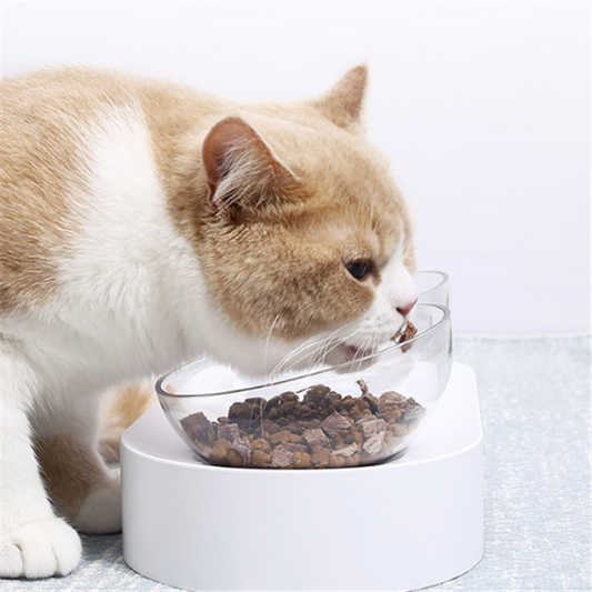 Comedouro Ajustável para Gatos