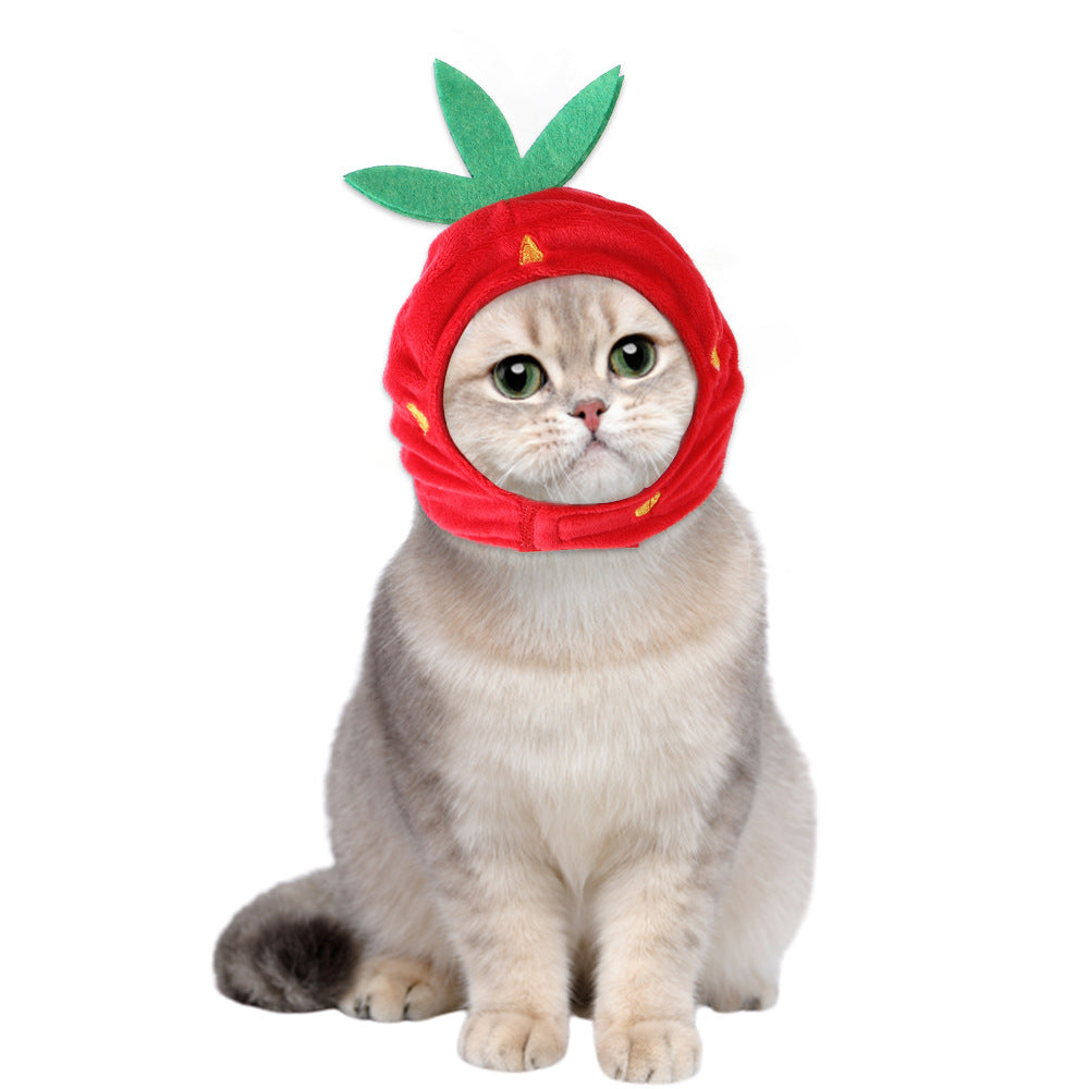 Chapéu Quentinho Divertido para Fotos com Cães e Gatos
