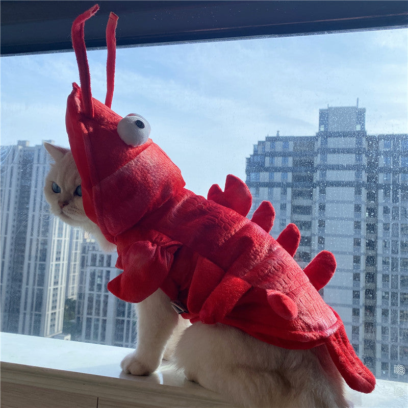 Roupa de Lagosta de Halloween e Natal para Gatos