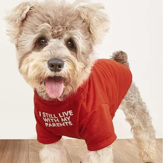 Camiseta Gola Redonda para Pets
