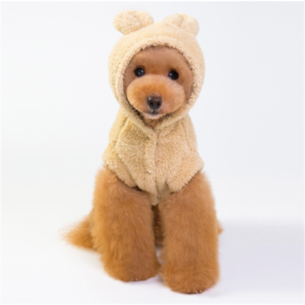 Roupa para Cães