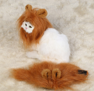 Chapéu Divertido de Juba de Leão para Gatos e Cães Pequenos - Halloween