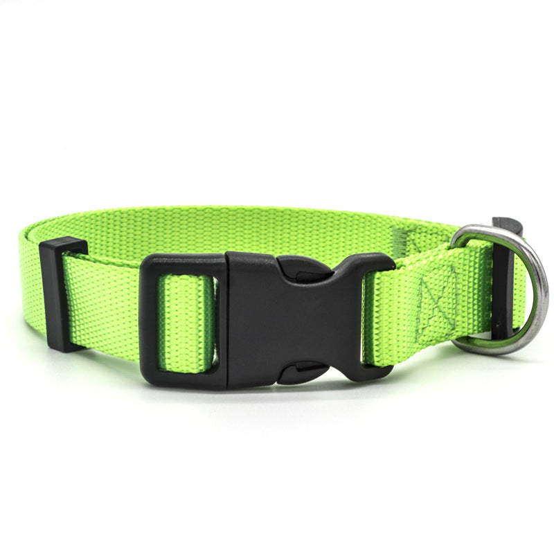 Coleira para Pets