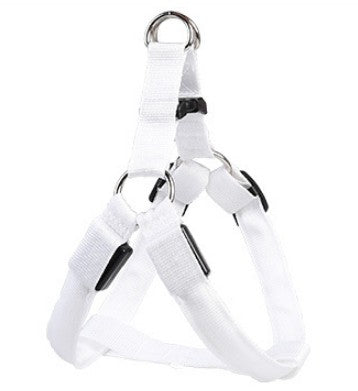 Peitoral LED Luminoso e Guia para Cães Grandes