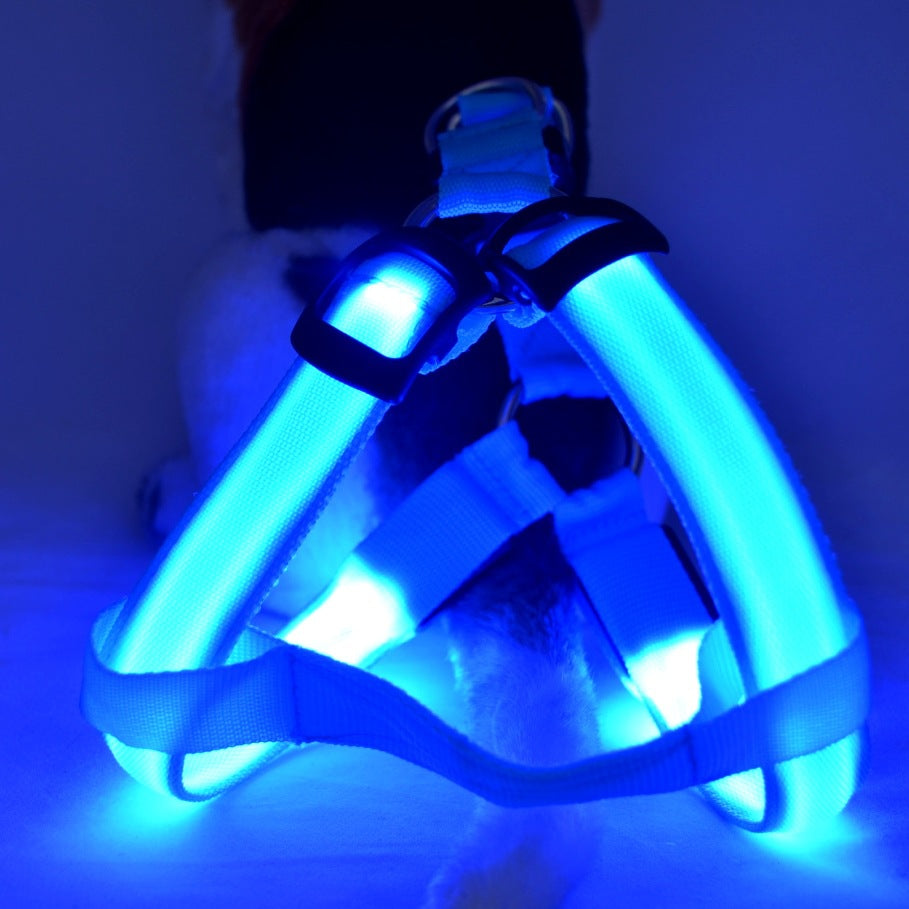 Peitoral LED Luminoso e Guia para Cães Grandes