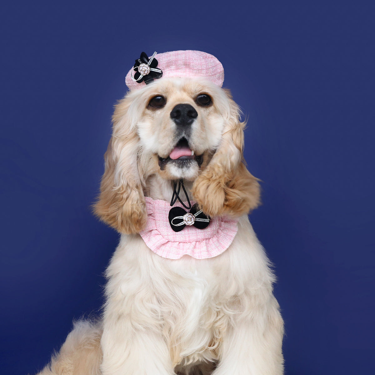 Boina com Flor, Laço e Babador de Renda para Pets