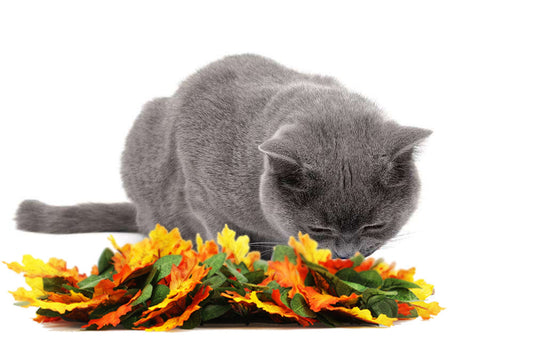 Tapete de Cheirar Estilo Selva Lavável para Pets