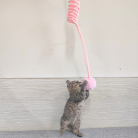 Brinquedo para Gatos com Ventosa e Mola de Pelo de Coelho