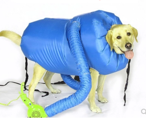 Kit de Secagem para Cães com Secador de Cabelo