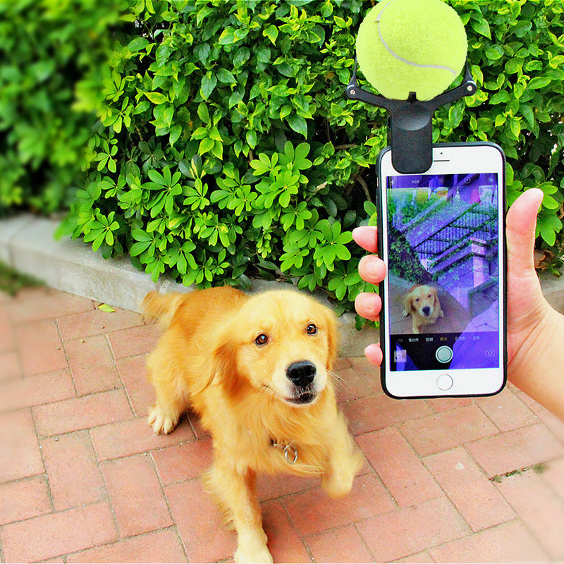 Clipe de Selfie para Celular em Formato de Bola de Tênis - Fotos de Pets