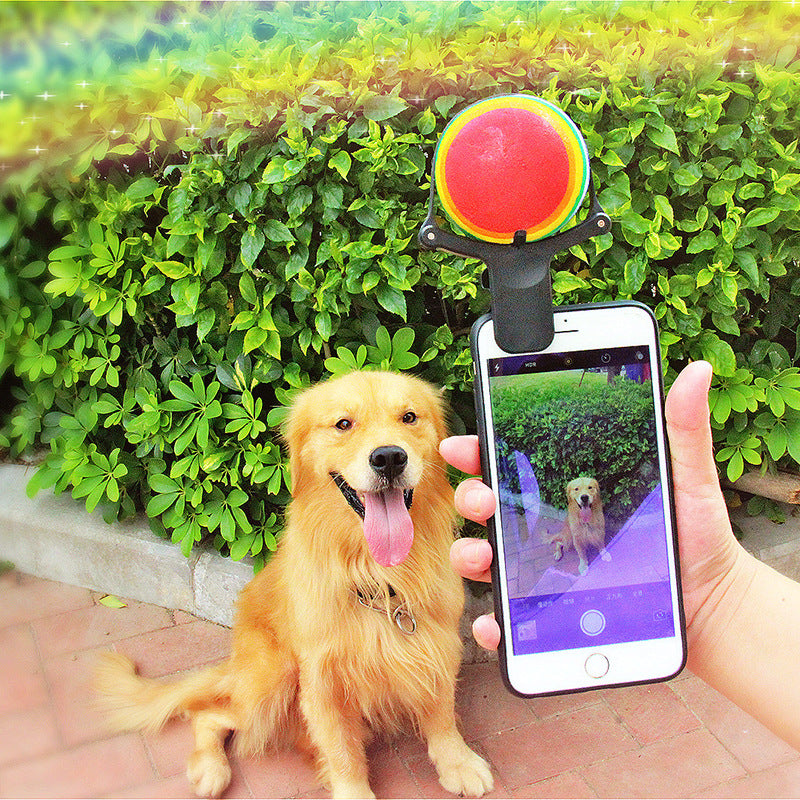 Clipe de Selfie para Celular em Formato de Bola de Tênis - Fotos de Pets
