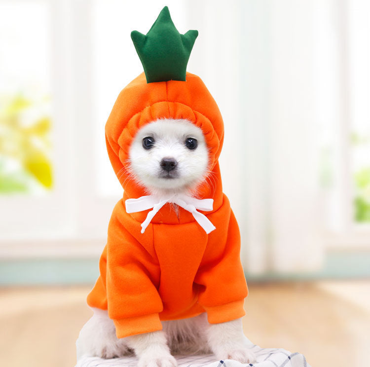 Moletom de Fleece com Estampa de Frutas para Cães Pequenos - Inverno