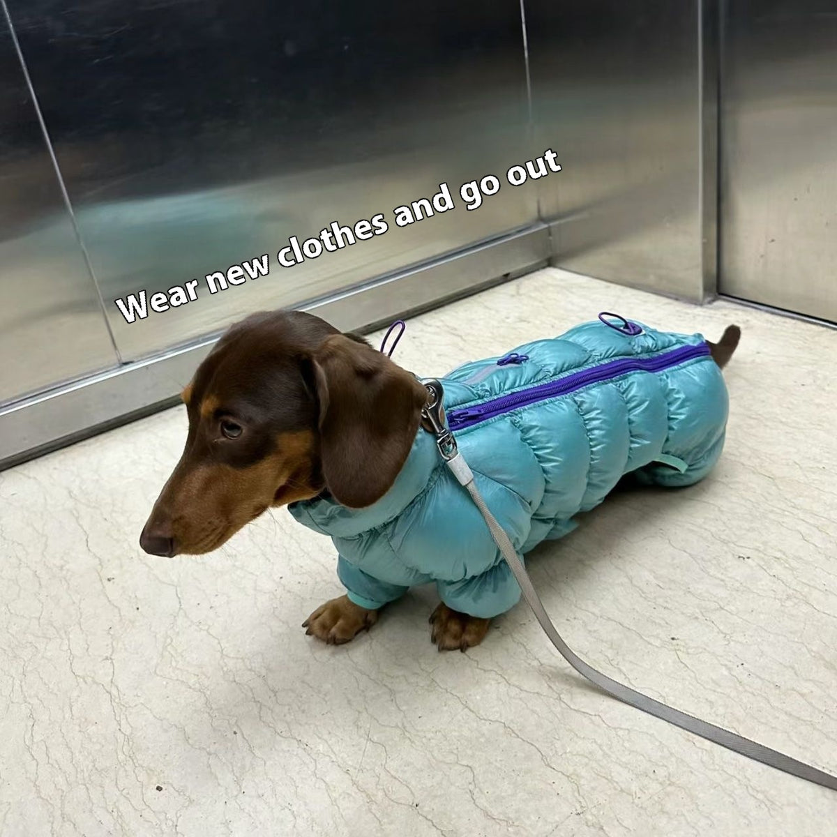 Roupa Térmica Acolchoada para Pets - Outono e Inverno