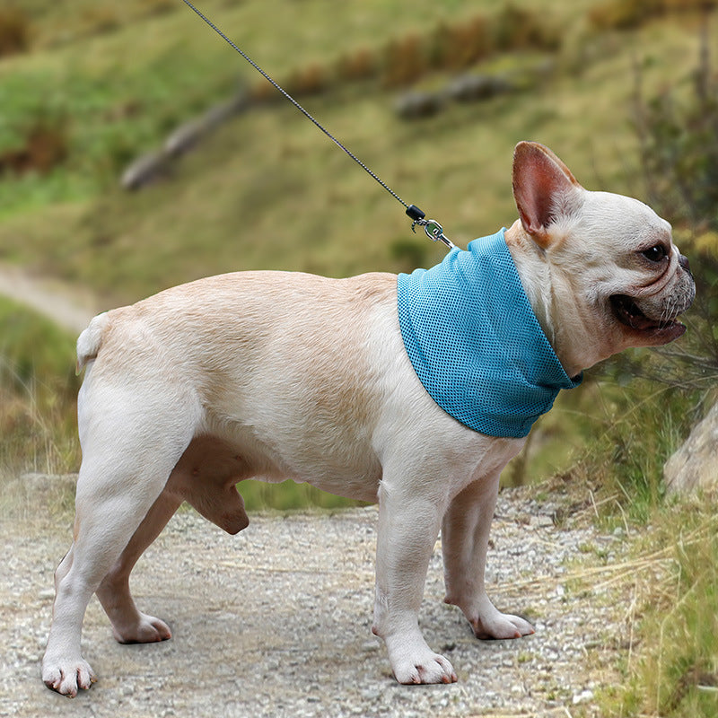 Bandana Refrescante Instantânea para Cães - Verão