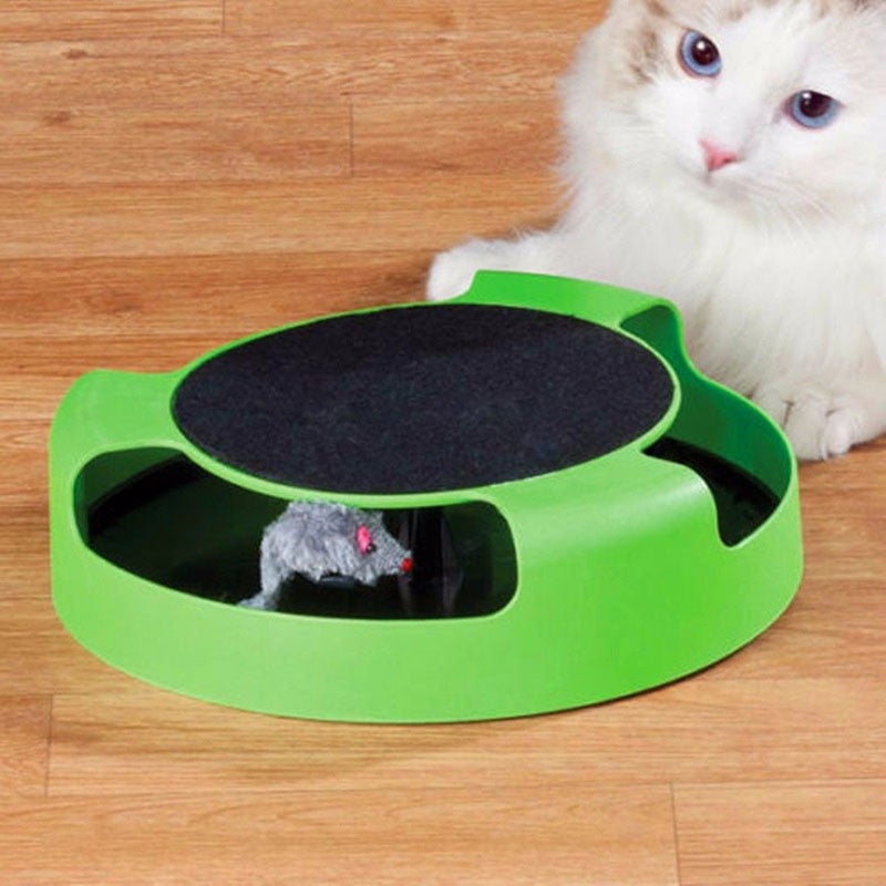 Brinquedo Pega-pega para Gatos