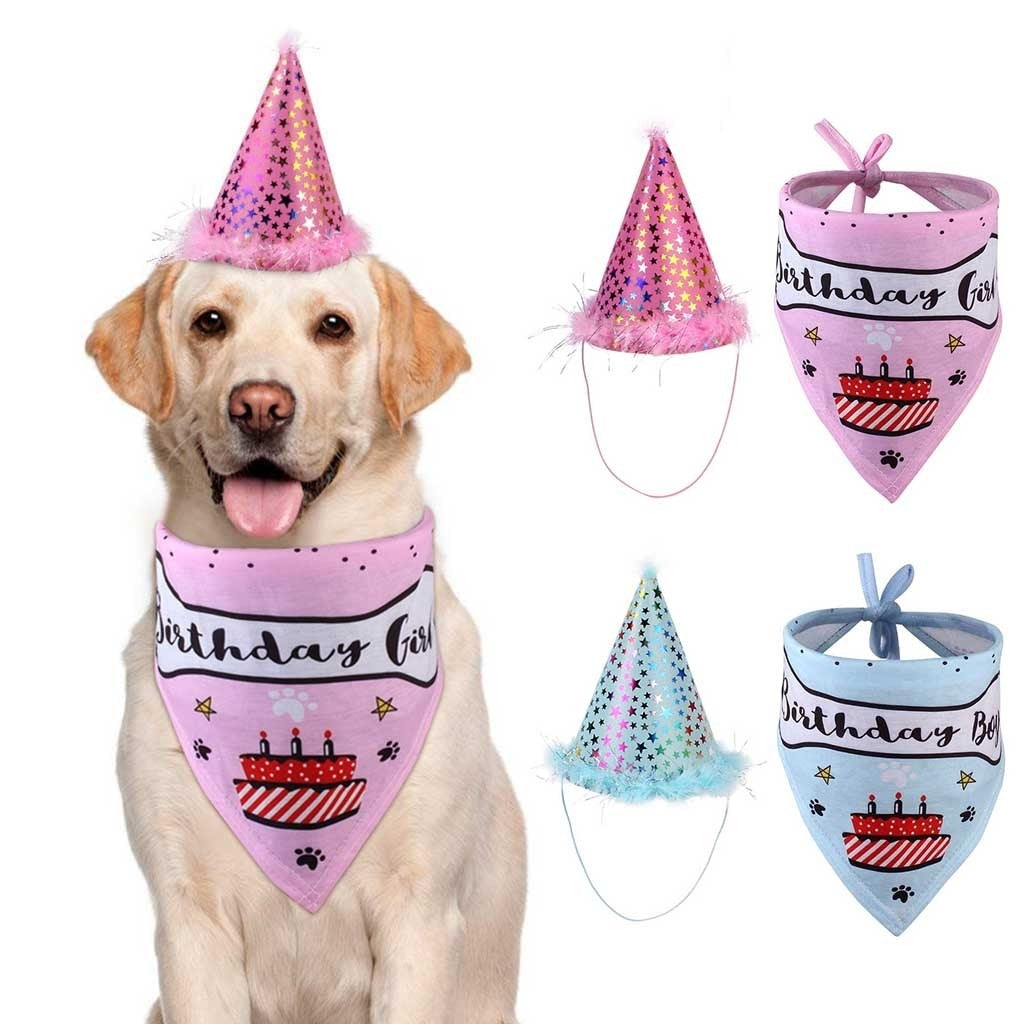 Kit Babador e Chapéu de Aniversário para Pets