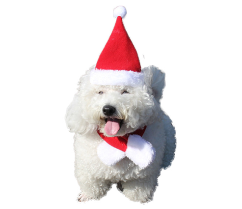Tiara de Natal com Chifres de Rena para Cães e Gatos