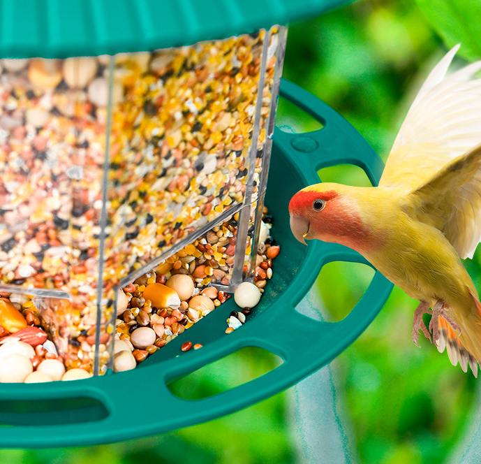 Comedouro Suspenso Transparente para Aves - Jardim e Áreas Externas