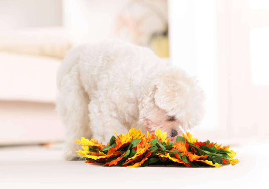 Tapete de Cheirar Estilo Selva Lavável para Pets