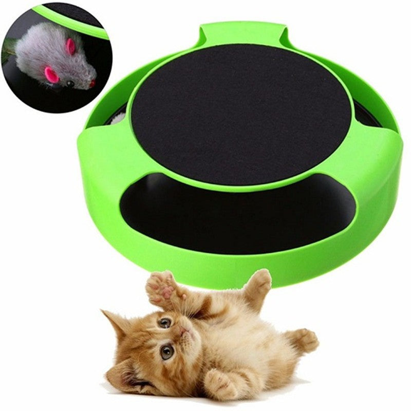 Brinquedo Pega-pega para Gatos