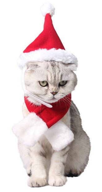 Tiara de Natal com Chifres de Rena para Cães e Gatos