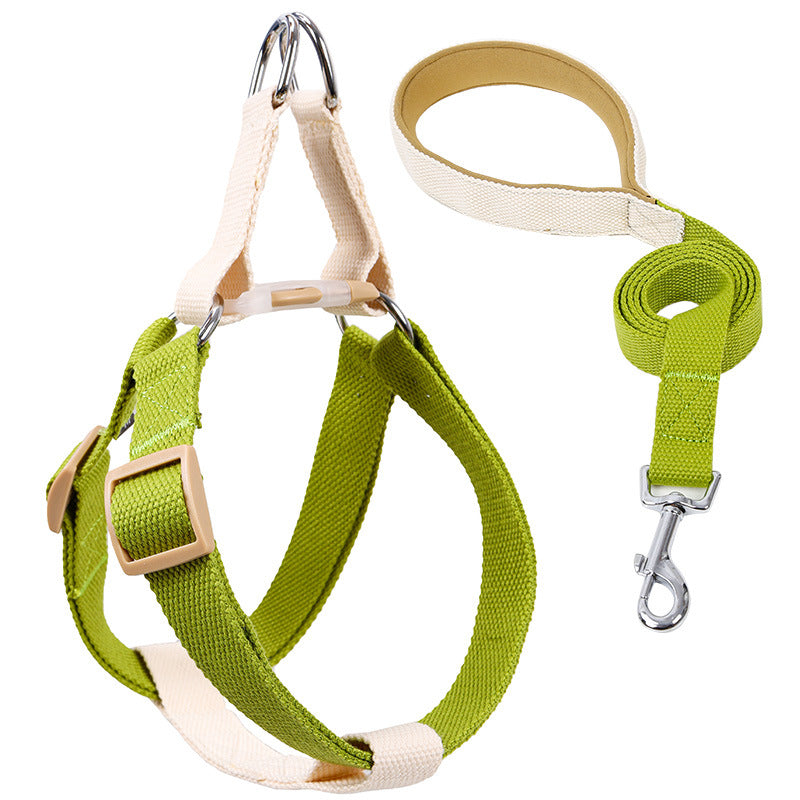 Guia Colorida com Cordão e Peitoral Colete para Cães