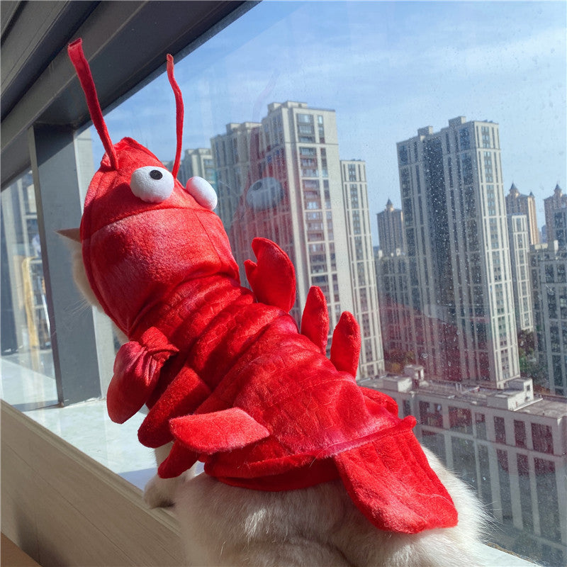 Roupa de Lagosta de Halloween e Natal para Gatos