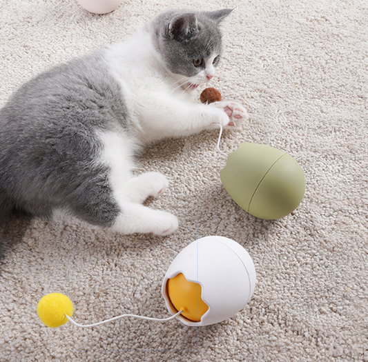 Brinquedo Divertido para Gatos