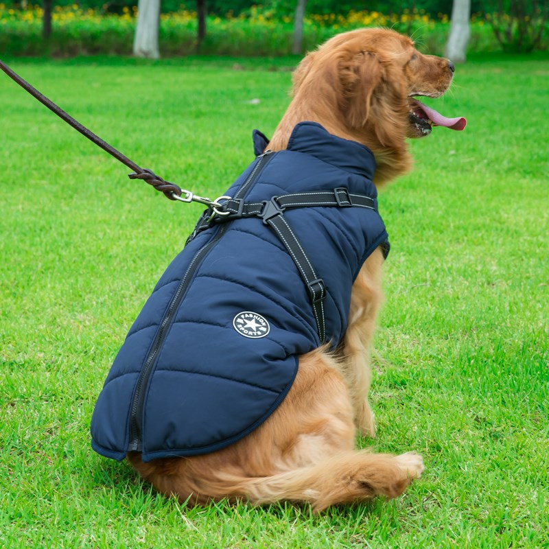 Casaco com Capuz Quentinho para Cães Pequenos - Inverno