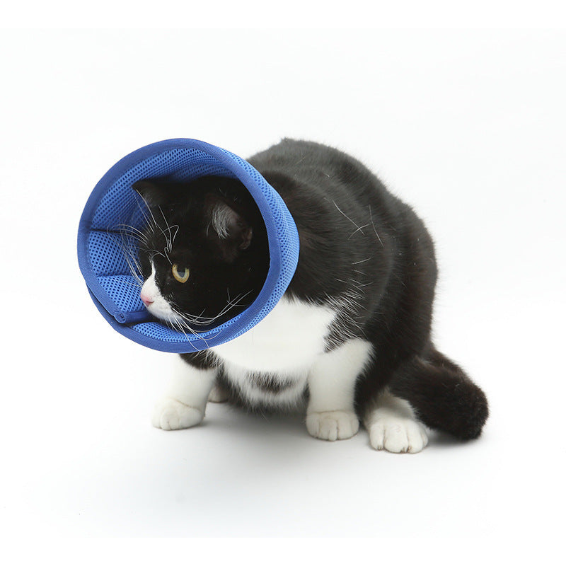 Colar Elizabetano Transparente Anti-mordida para Recuperação de Cães e Gatos