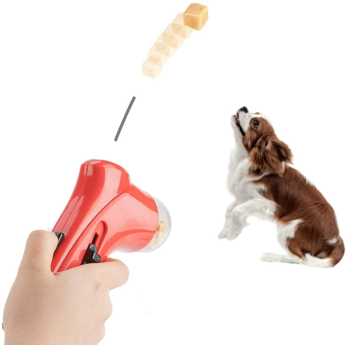 Ferramenta de Treino com Alimentador de Petiscos para Cães