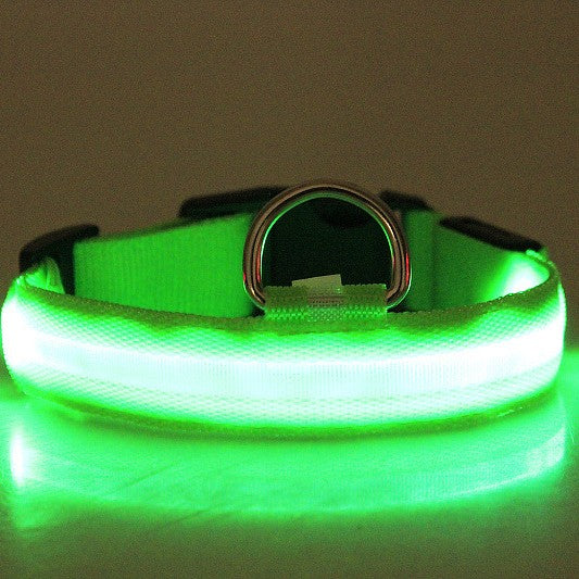 Coleira LED Luminosa para Cães - Passeio Noturno