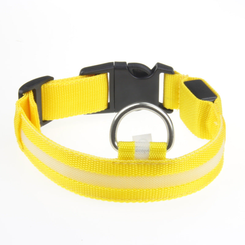Coleira LED Luminosa para Cães - Passeio Noturno