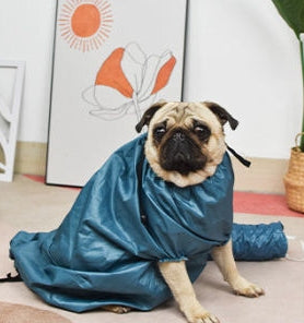 Saco de Secagem Automático com Secador de Cabelo para Banho de Pets