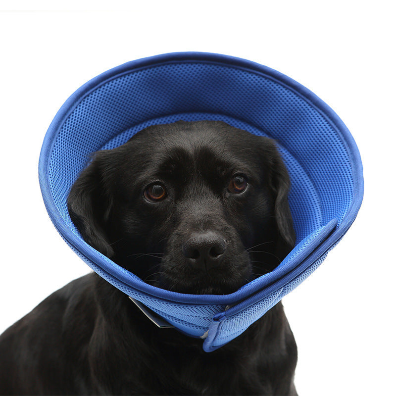 Colar Elizabetano Transparente Anti-mordida para Recuperação de Cães e Gatos