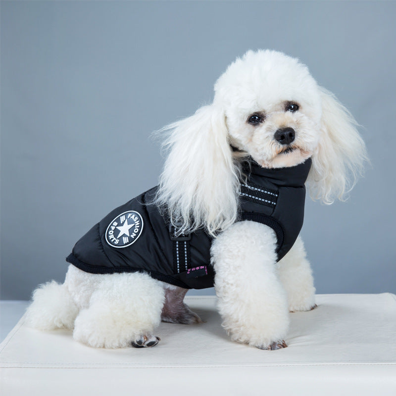 Colete para Cães Pequenos - Poodle e Bichon