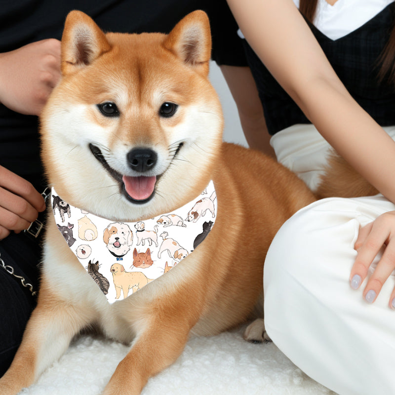 Bandana Reversível para Pets