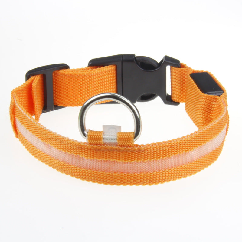 Coleira LED Luminosa para Cães - Passeio Noturno