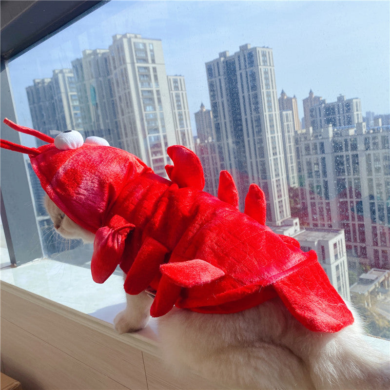 Roupa de Lagosta de Halloween e Natal para Gatos