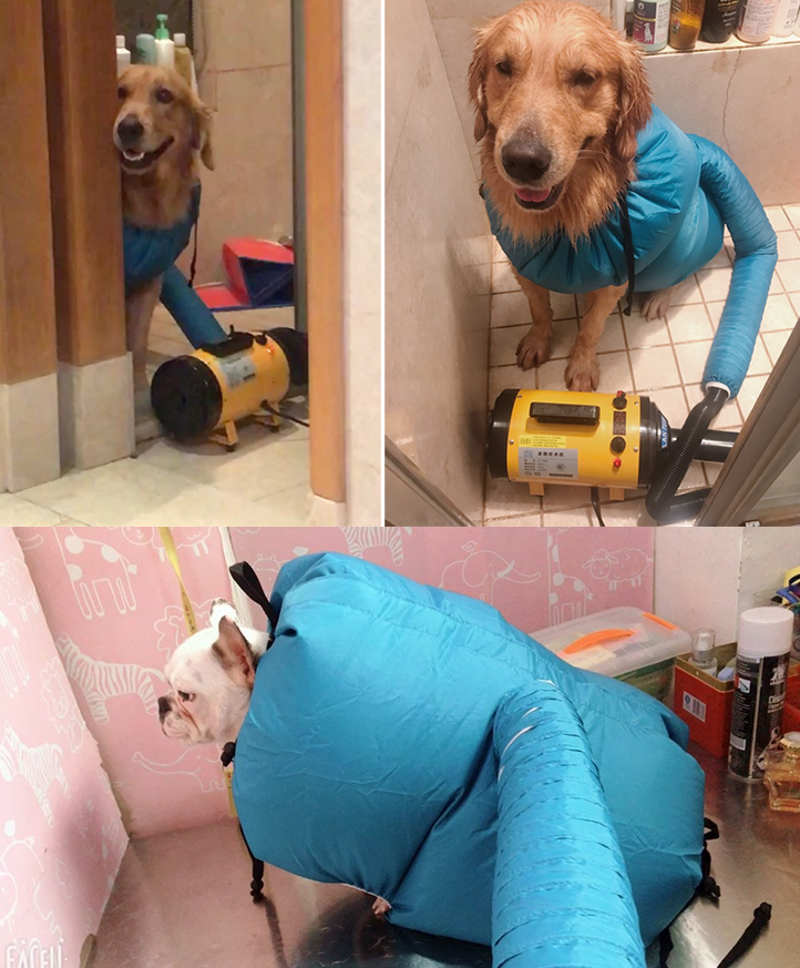 Kit de Secagem para Cães com Secador de Cabelo