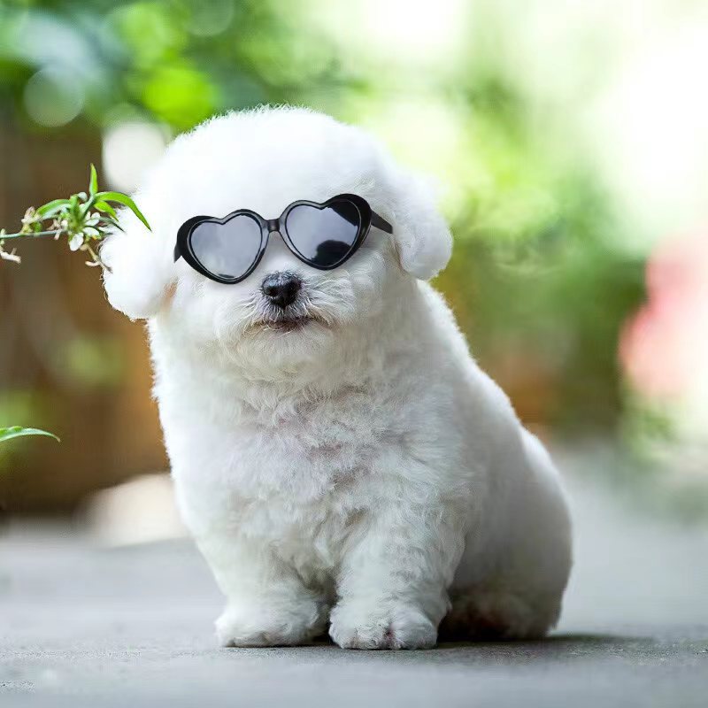 Óculos de Sol para Bonecas e Pets